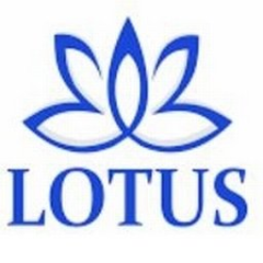 Lotus Recursos Humanos